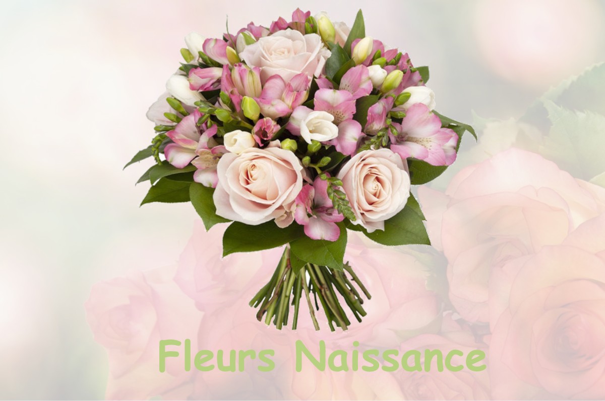 fleurs naissance SAINT-MAUR-SUR-LE-LOIR